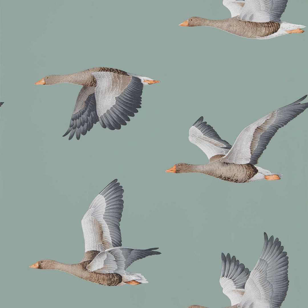 Tapeta gęsi w locie Sanderson 216610 Elysian Geese Arboretum