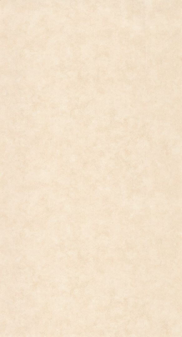 Tapeta jak beton Caselio BTO 101491460 Uni Metallized Beton 2