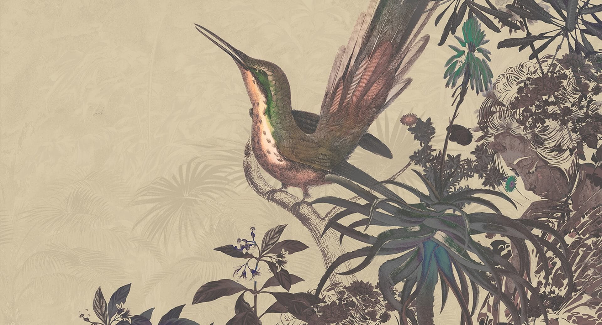 Fototapeta botaniczna koliber Muance MU14046 Rosewood Dusk