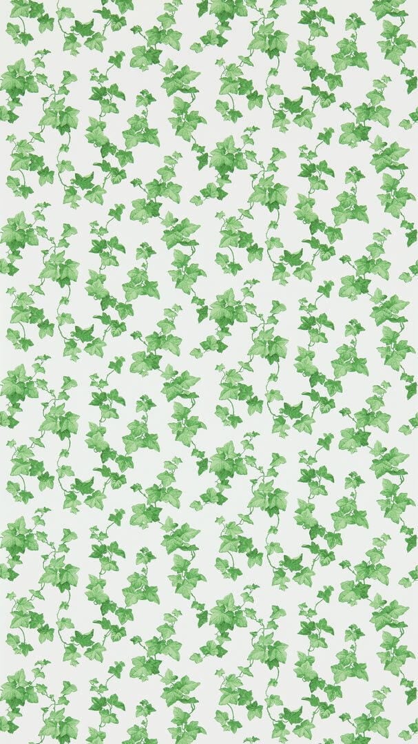 Tapeta liście bluszczu Sanderson 214593 Hedera One Sixty