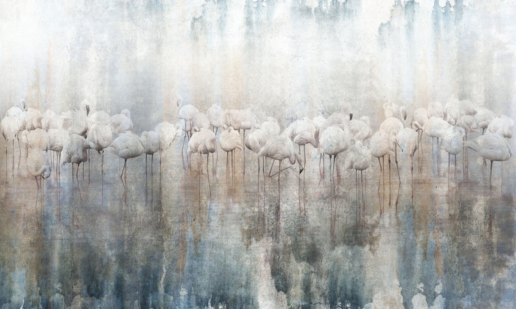 Fototapeta flamingi Wonderwall Armonia 35045406