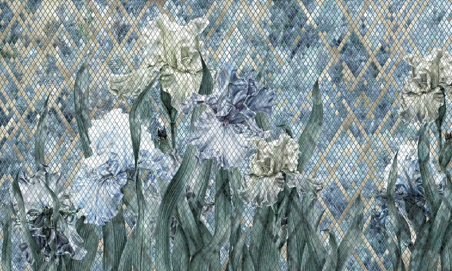 Fototapeta kwiaty irysy Wonderwall Iris 35076303