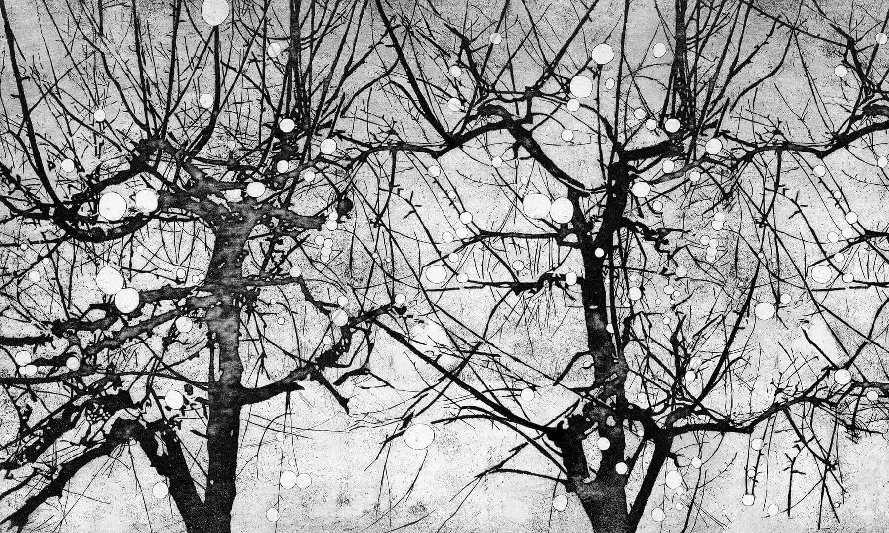 Fototapeta drzewa Wonderwall Vibrant 35055301