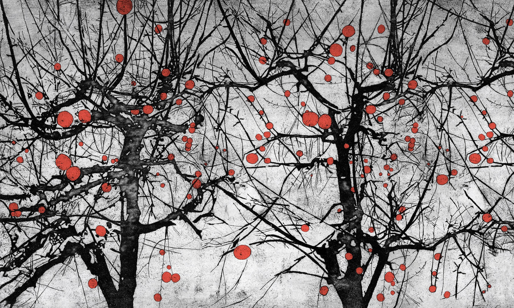 Fototapeta drzewa Wonderwall Vibrant 35055305