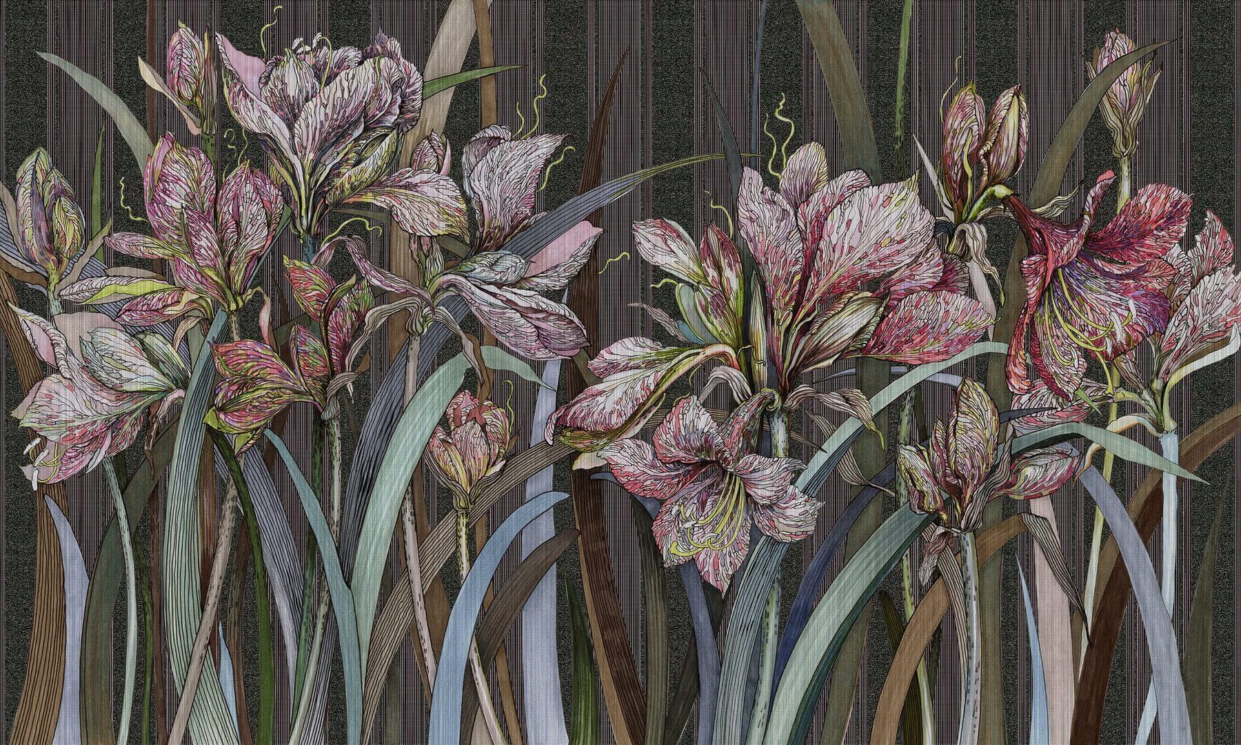 Fototapeta kwiaty Wonderwall Amaryllis 35071006