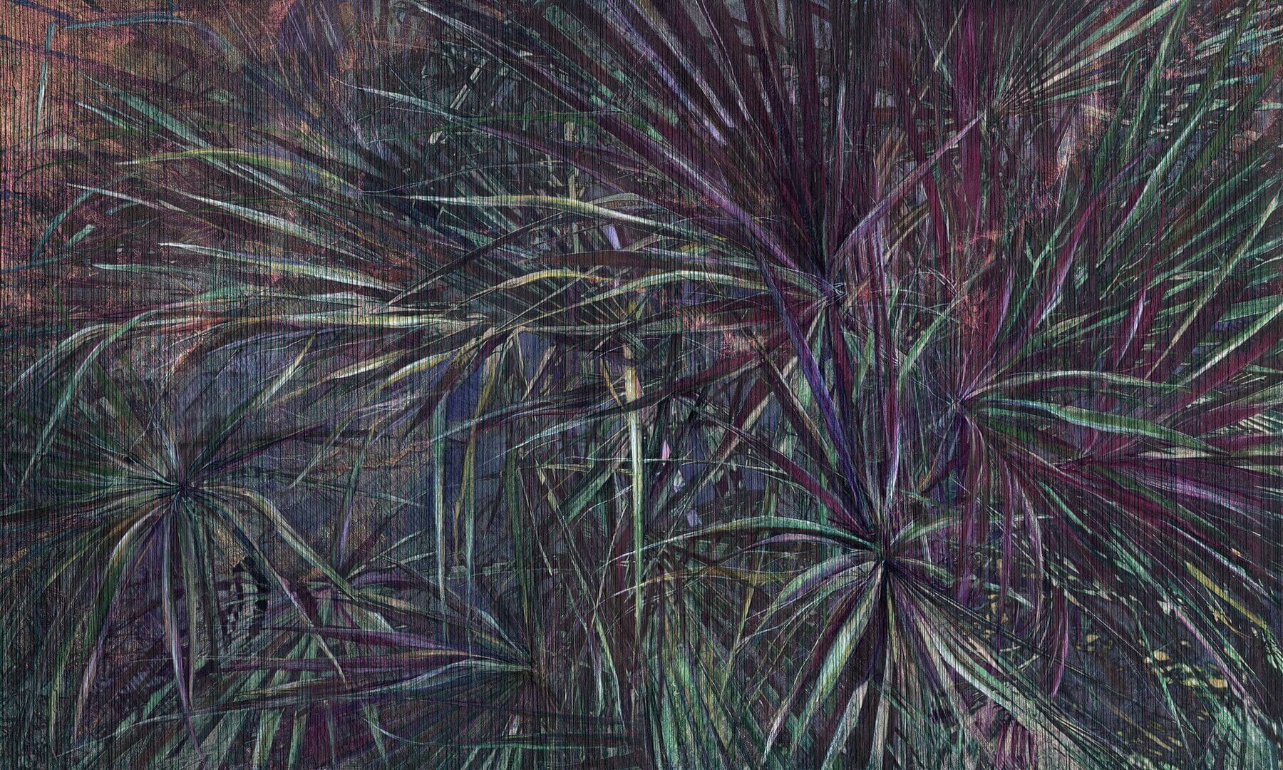 Fototapeta liście palmy Wonderwall Amazonia 35046907