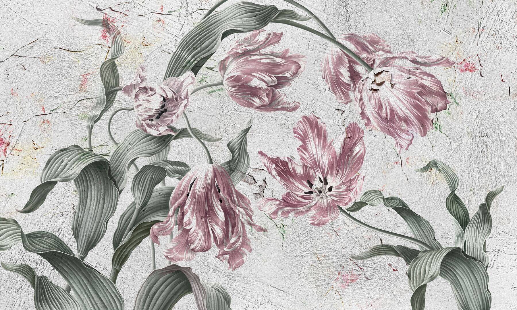 Fototapeta kwiaty tulipany Wonderwall Belicia 35074700