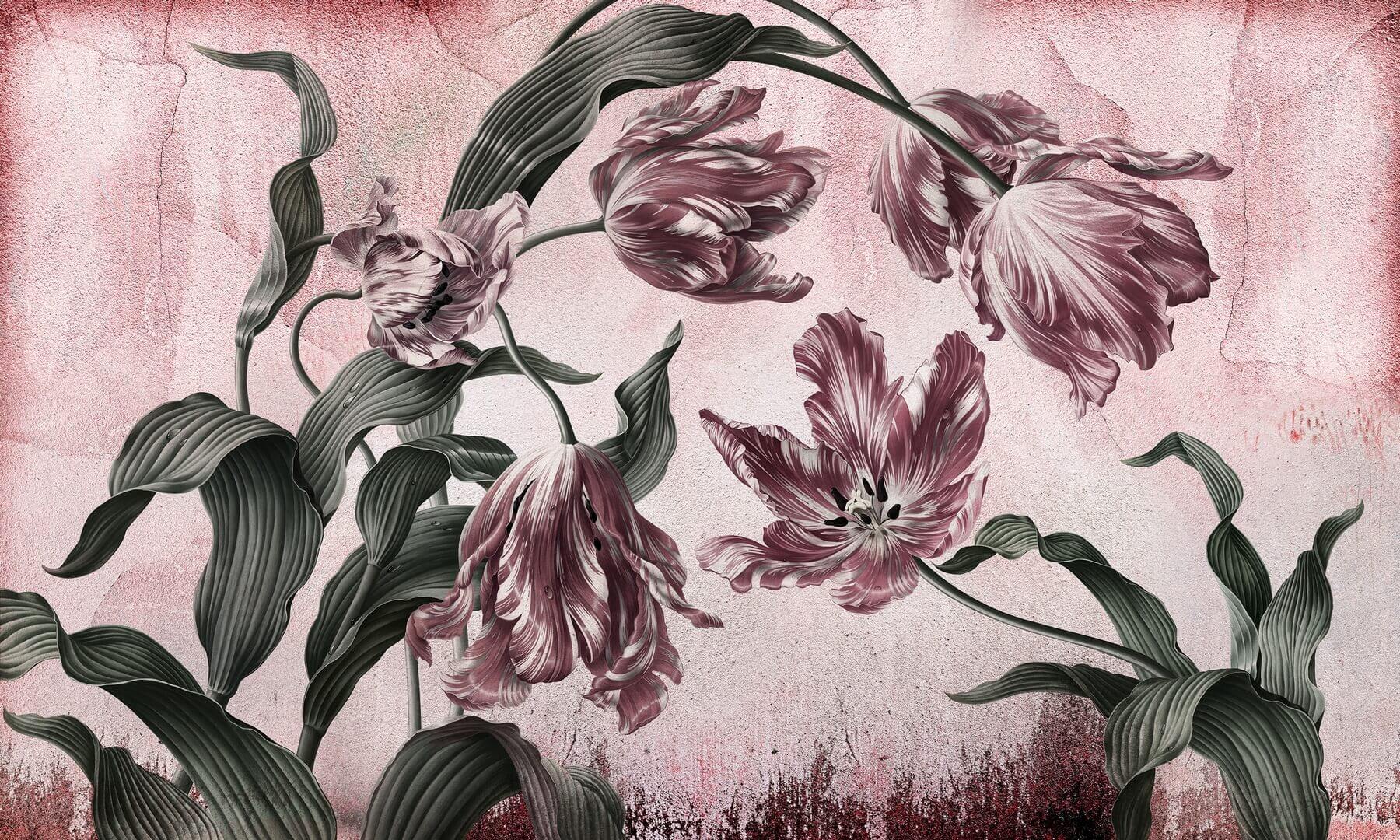 Fototapeta kwiaty tulipany Wonderwall Belicia 35074705