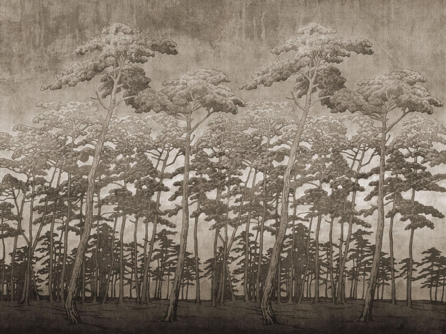 Fototapeta sosnowy las WallArt Secret Forest Beige