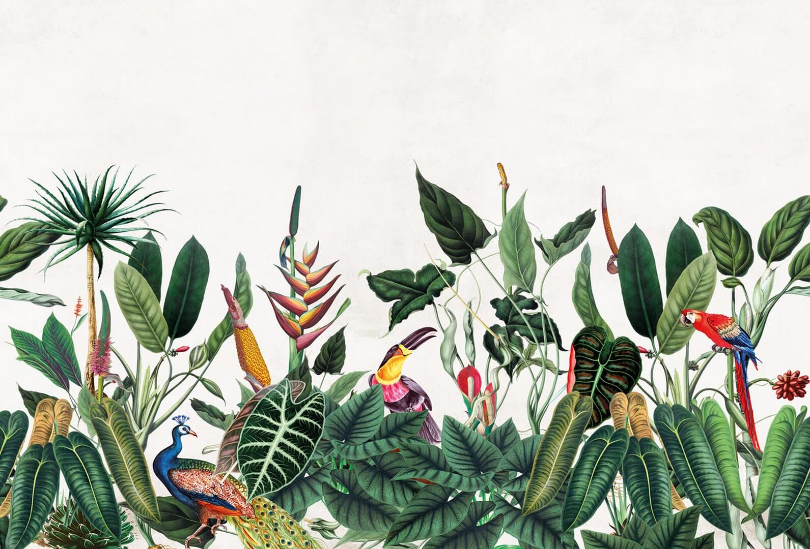 Mural egzotyczne ptaki i tropikalna roślinność PaperMint BORNEO Tropical Green R007 Les Essentiels