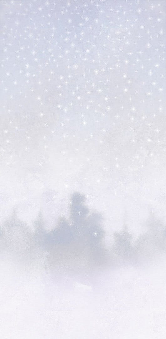Mural niebo gwiazdy PaperMint ETOILES Polar White R019 Les Essentiels