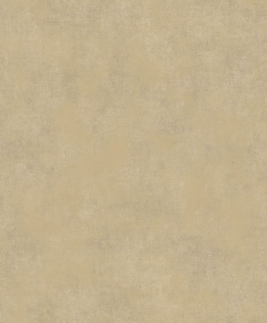 Tapeta betonowa przecierka Casadeco COLR 80831265 Stone So Color 5