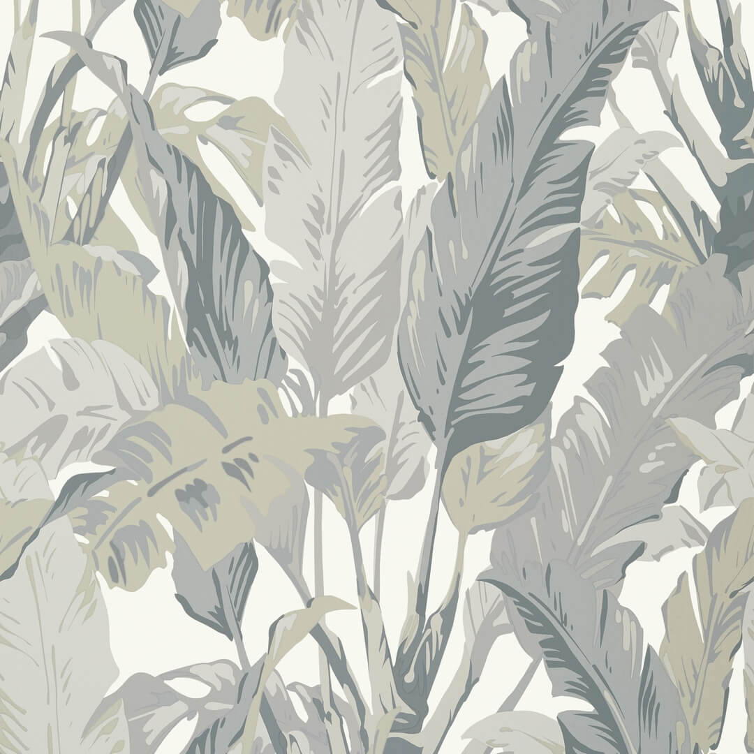 Tapeta liście bananowca Thibaut T10129 Travelers Palm Tropics