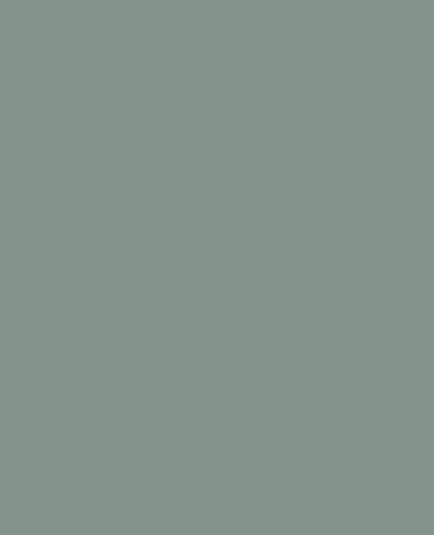 Tapeta jednokolorowa Boras Tapeter Dusk Green 7556 Pigment