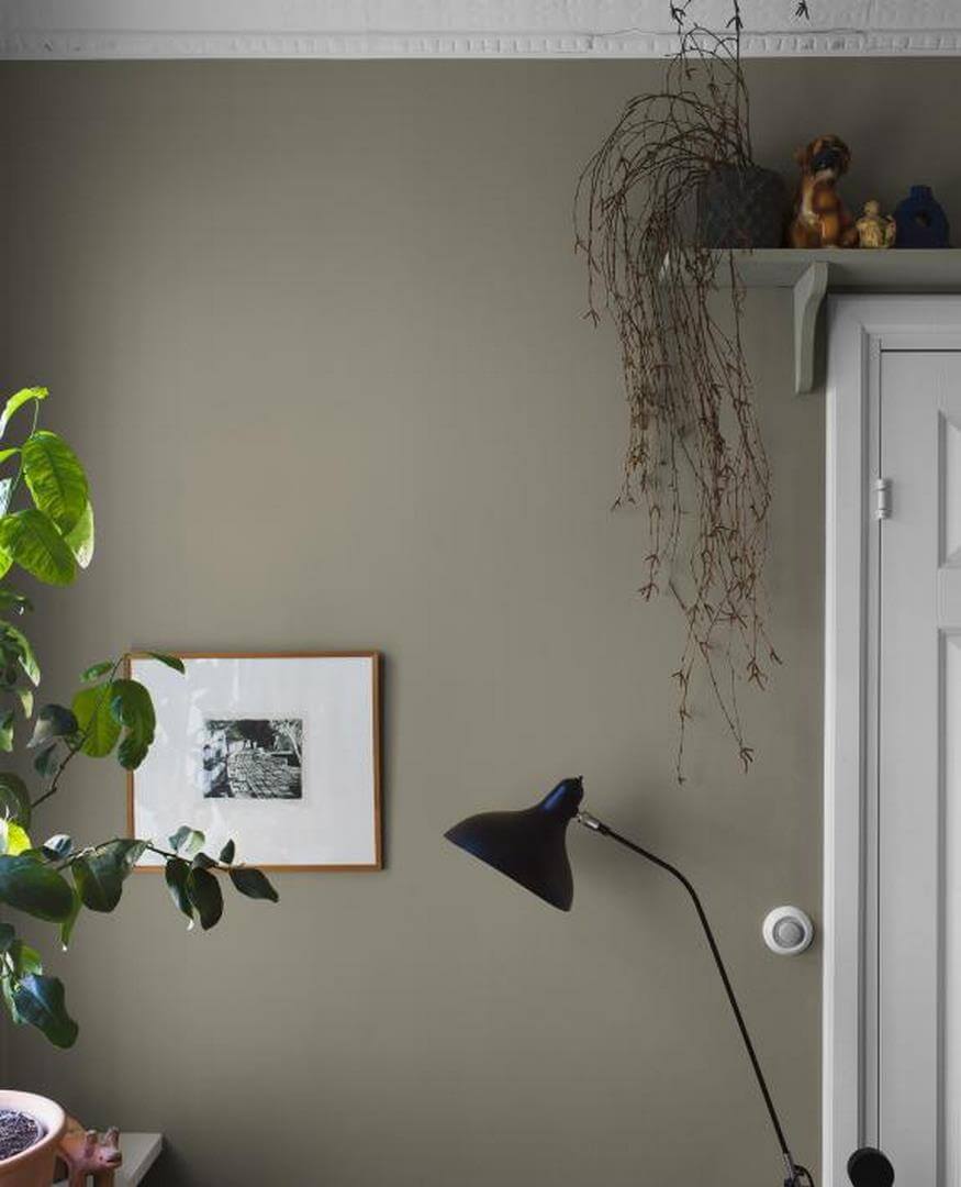 Tapeta jednokolorowa Boras Tapeter Light Olive 7558 Pigment