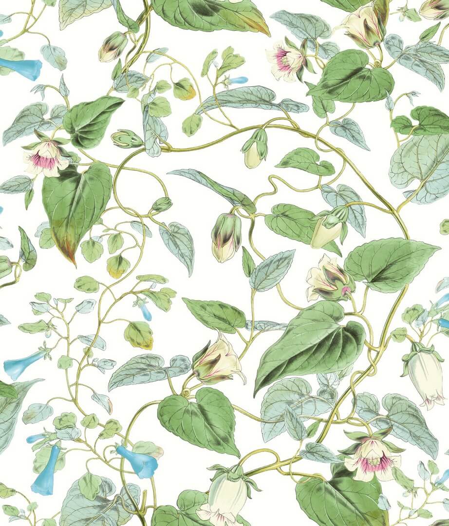 Tapeta kwiatowe pnącza York Wallcoverings BL1711 Moon Flower Blooms II