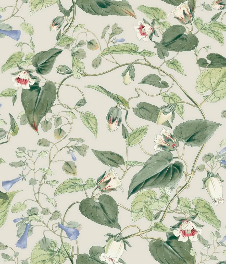 Tapeta kwiatowe pnącza York Wallcoverings BL1713 Moon Flower Blooms II