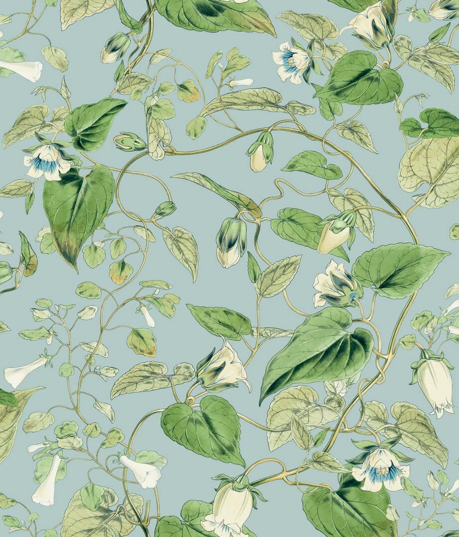 Tapeta kwiatowe pnącza York Wallcoverings BL1714 Moon Flower Blooms II