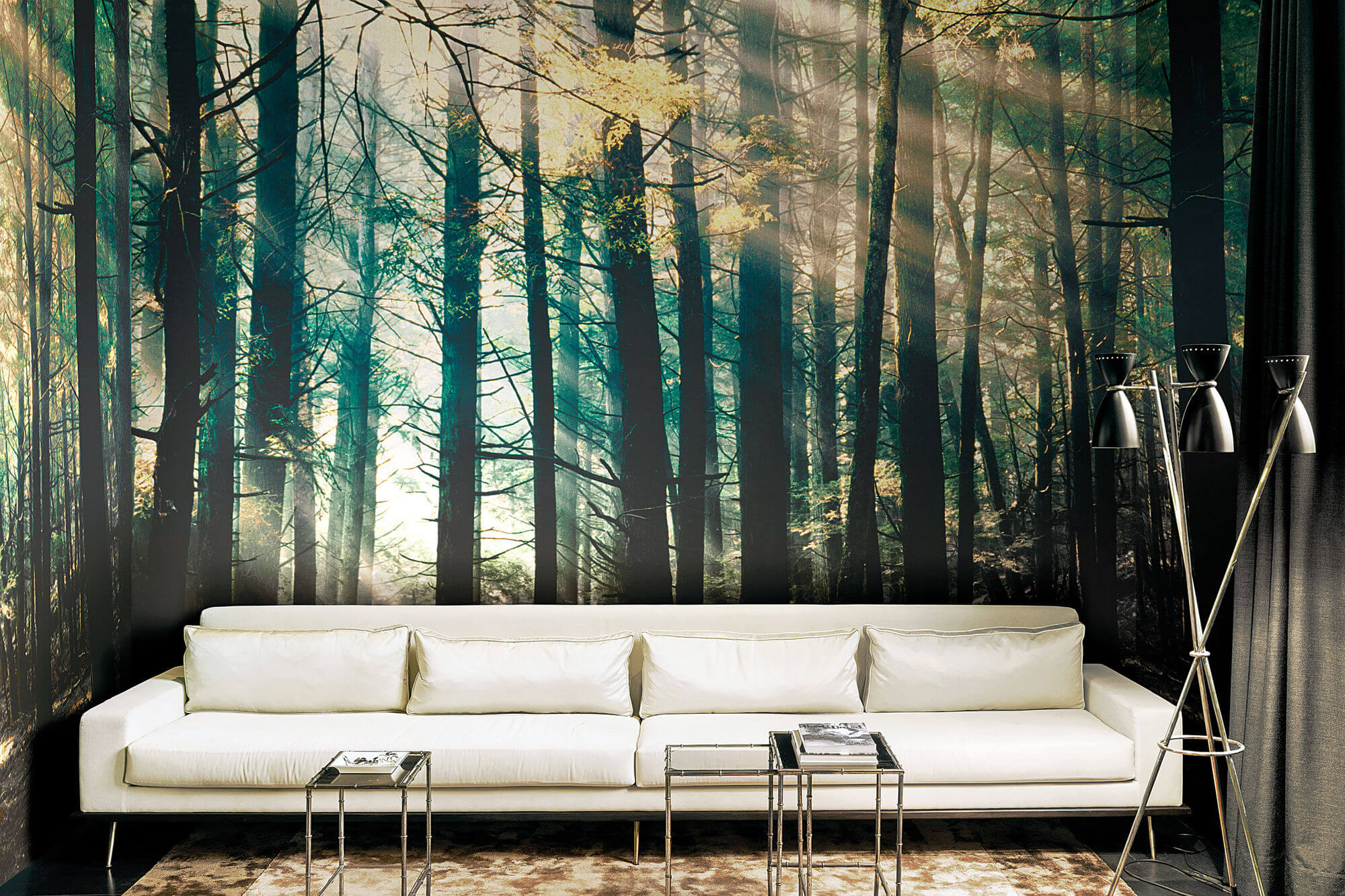 Fototapeta las London Art DSQ2W01-3 Canadian Forest Dsquared2