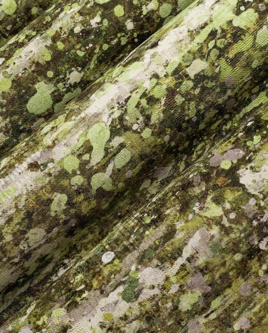 Fototapeta brzozowy las Wonderwall Euporie 35054404