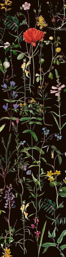 Mural łąka Mind the Gap AQUAFLEUR Anthracite WP20173 Premium Designer Wallpaper Collection