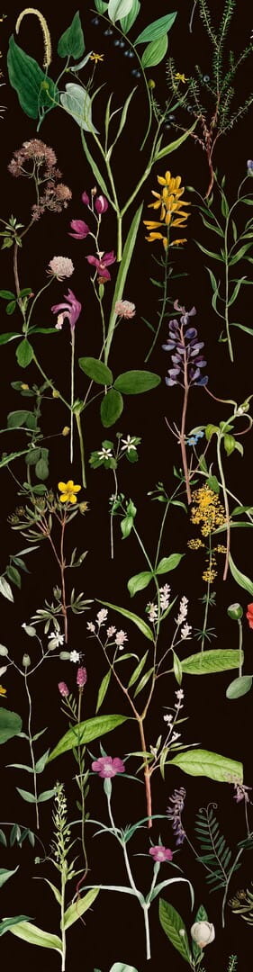 Mural łąka Mind the Gap AQUAFLEUR Anthracite WP20173 Premium Designer Wallpaper Collection