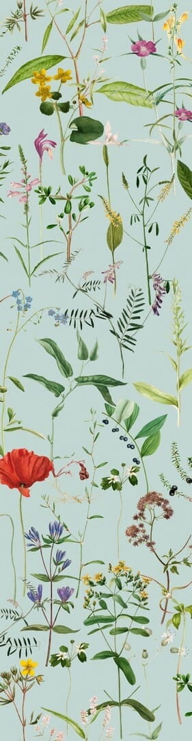 Mural łąka Mind the Gap AQUAFLEUR Aquamarine WP20174 Premium Designer Wallpaper Collection