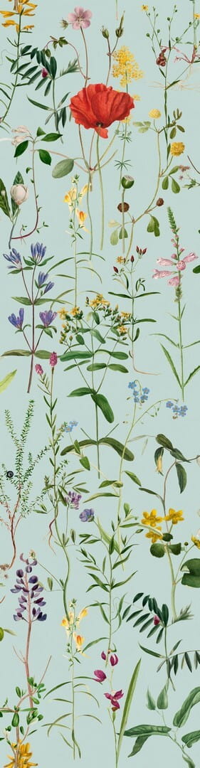 Mural łąka Mind the Gap AQUAFLEUR Aquamarine WP20174 Premium Designer Wallpaper Collection