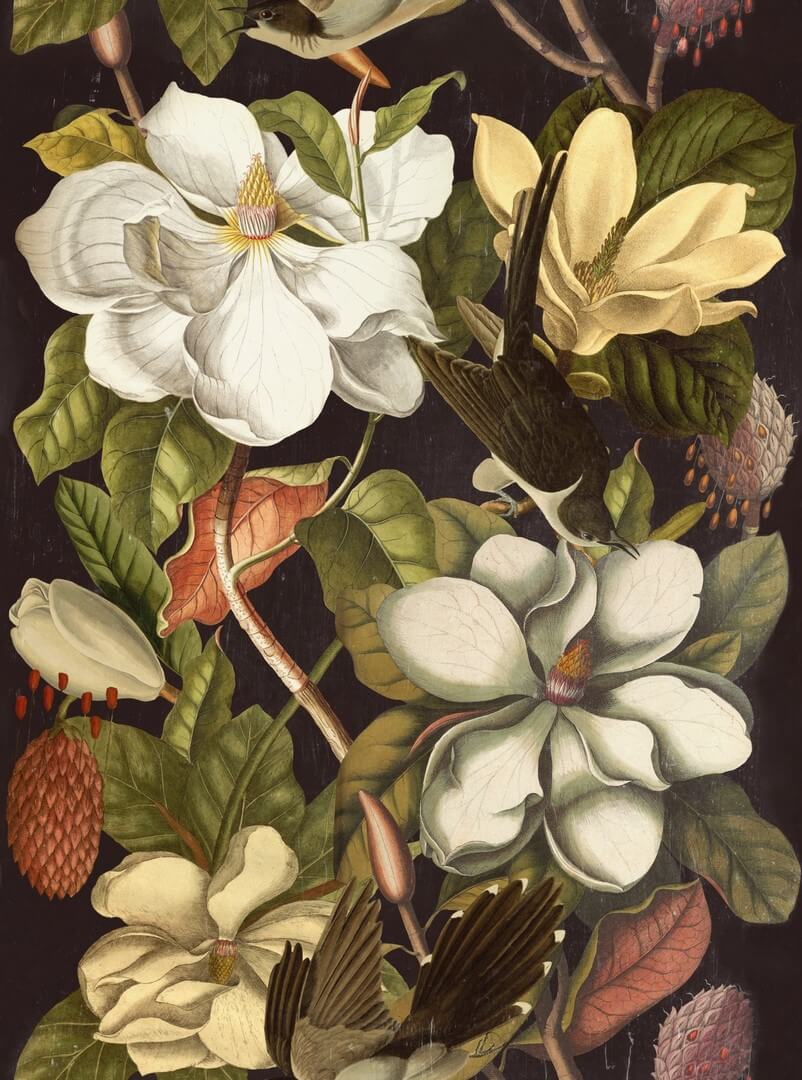 Mural kwiaty magnolii Mind the Gap MAGNOLIA WP20171 Premium Designer Wallpaper Collection
