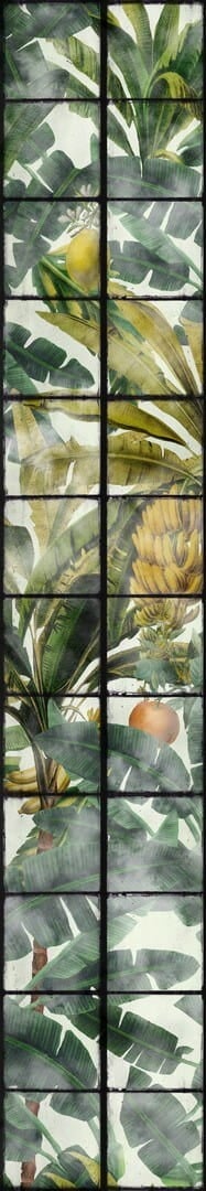 Mural egzotyczny ogród Mind the Gap ORANGERIE WP20176 Premium Designer Wallpaper Collection