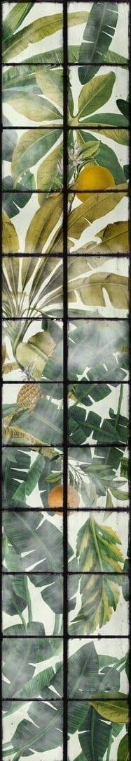 Mural egzotyczny ogród Mind the Gap ORANGERIE WP20176 Premium Designer Wallpaper Collection