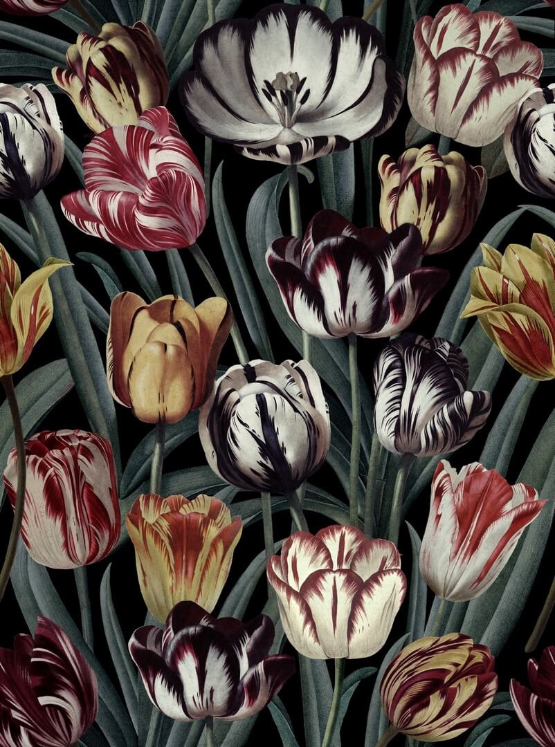 Mural tulipany Mind the Gap TULIPA Dark WP20177 Premium Designer Wallpaper Collection