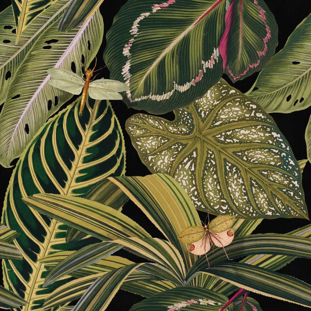 Mural tropikalne liście Mind the Gap AMAZONIA WP20159 Premium Designer Wallpaper Collection