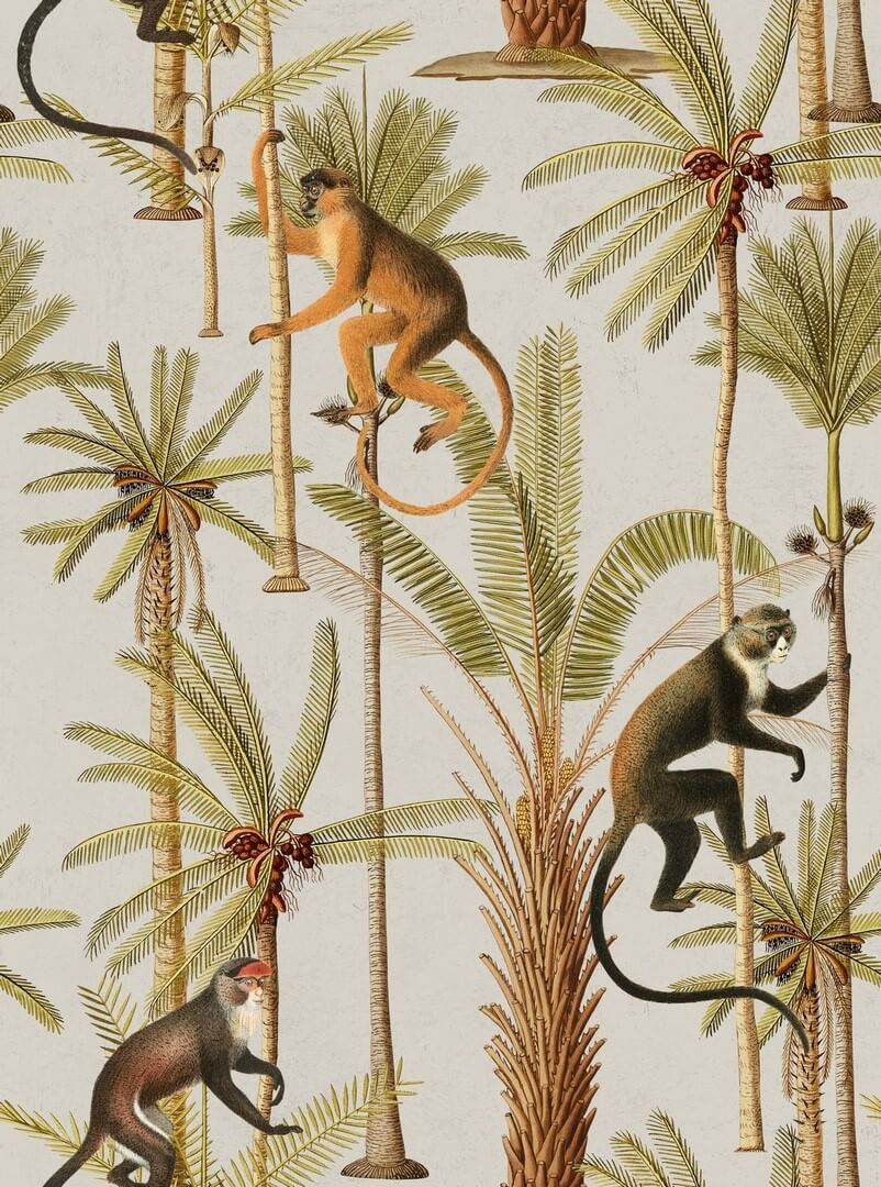 Mural małpy i palmy Mind the Gap BARBADOS WP20161 Premium Designer Wallpaper Collection