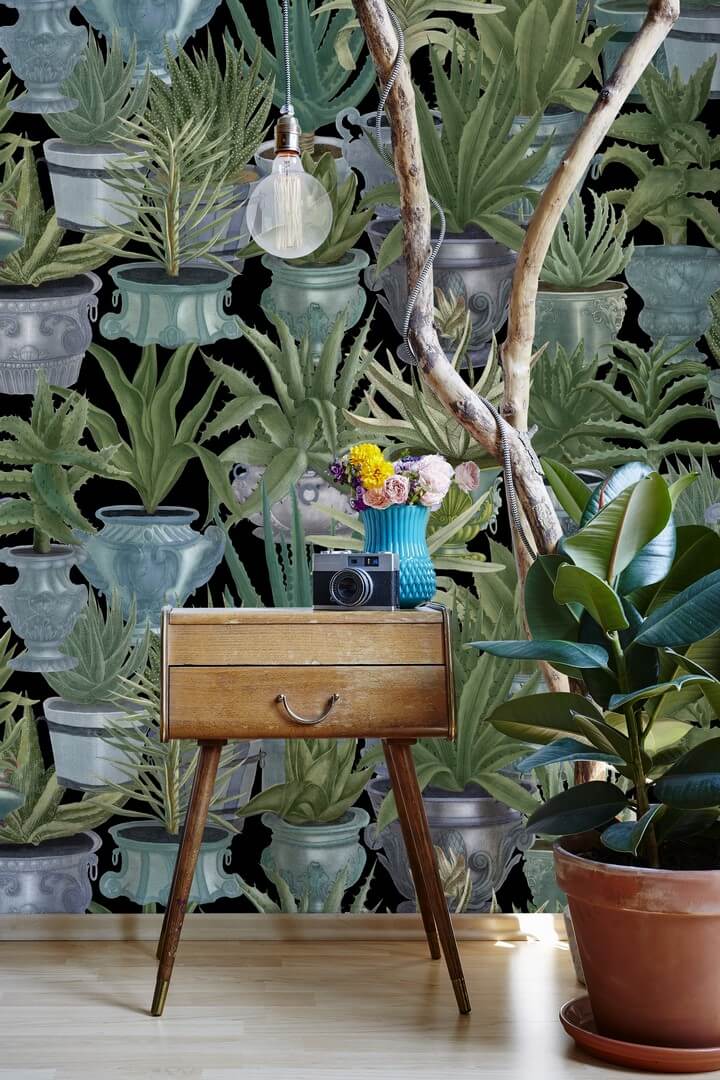 Mural sukulenty w doniczkach Mind the Gap ECHEVERIA WP20163 Premium Designer Wallpaper Collection