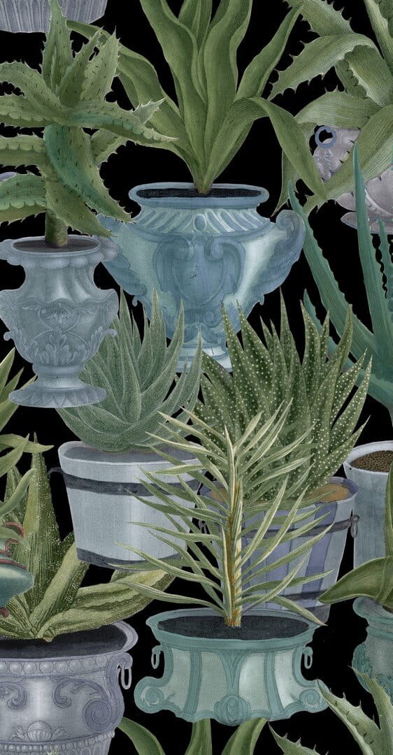 Mural sukulenty w doniczkach Mind the Gap ECHEVERIA WP20163 Premium Designer Wallpaper Collection