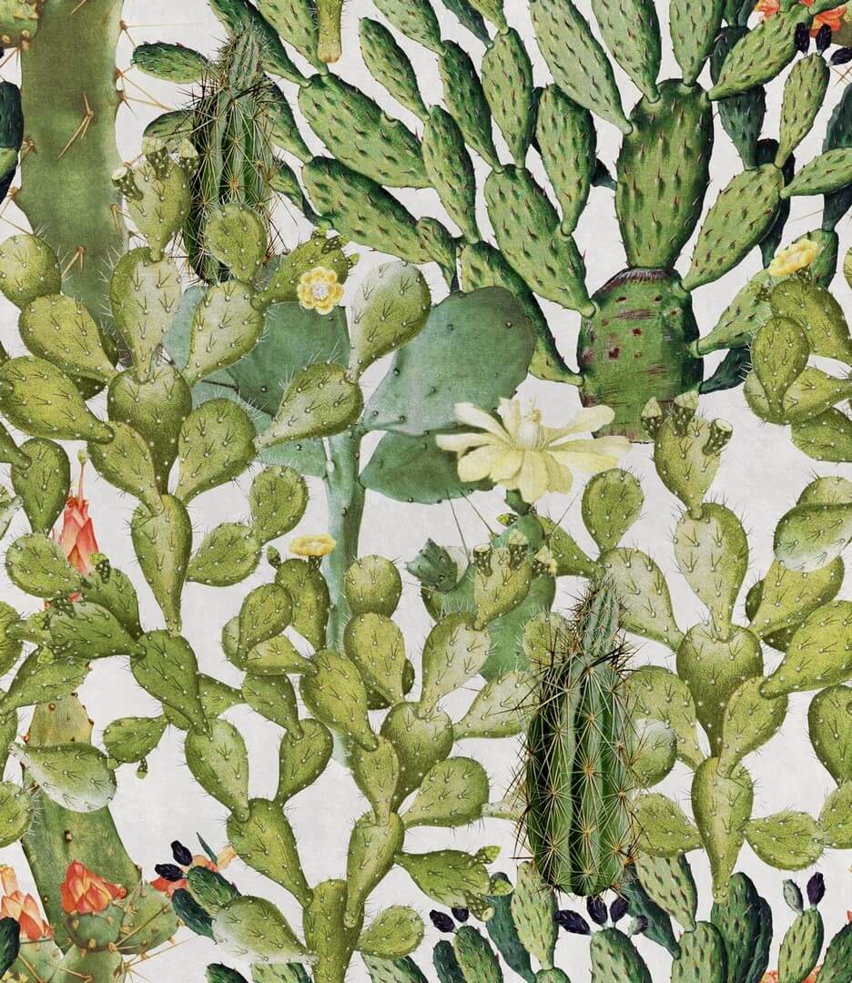 Mural kaktusy Mind the Gap OPUNTIA WP20166. Premium Designer Wallpaper Collection