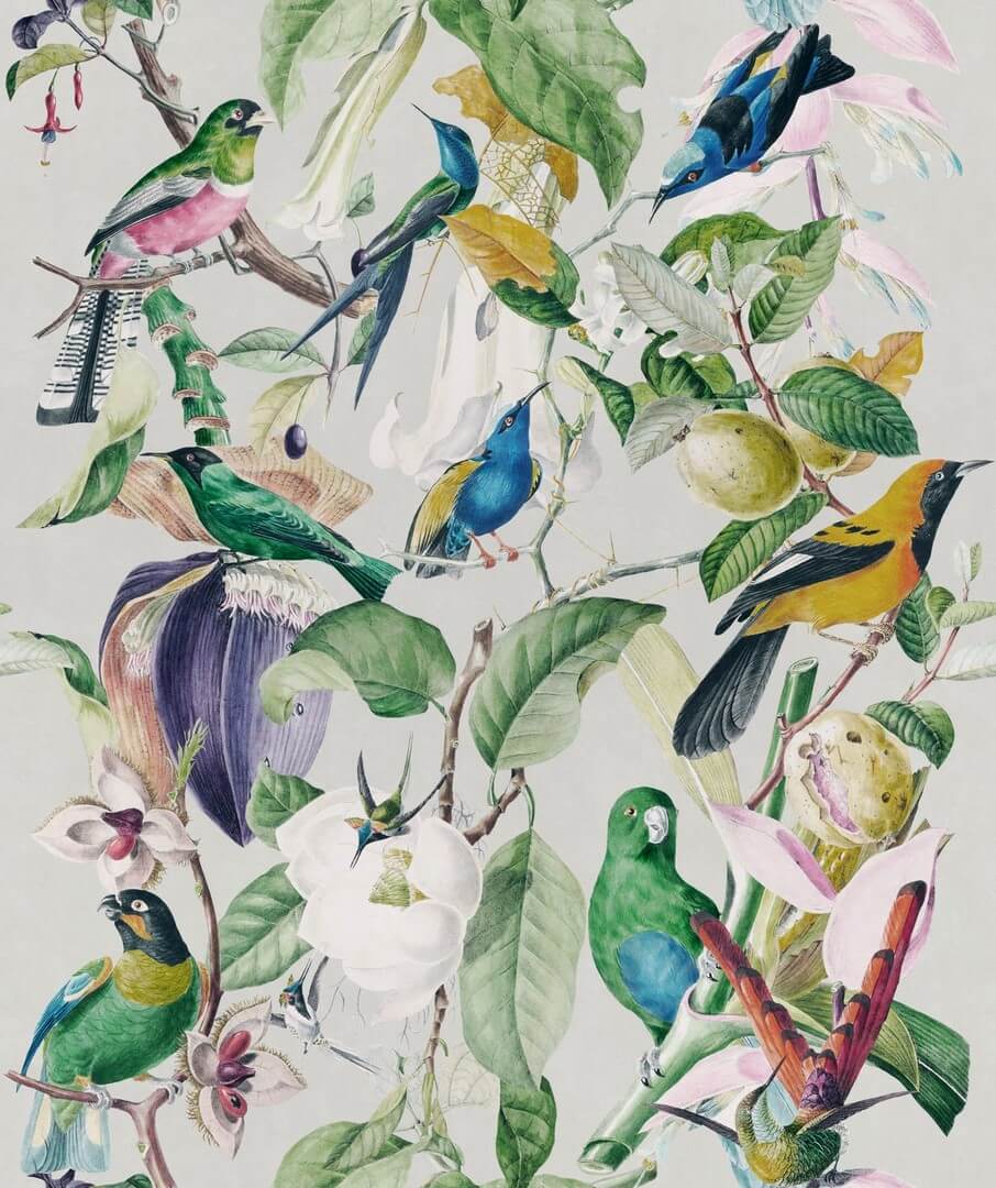 Mural papugi Mind the Gap TROPICAL BIRDS WP20172 Premium Designer Wallpaper Collection