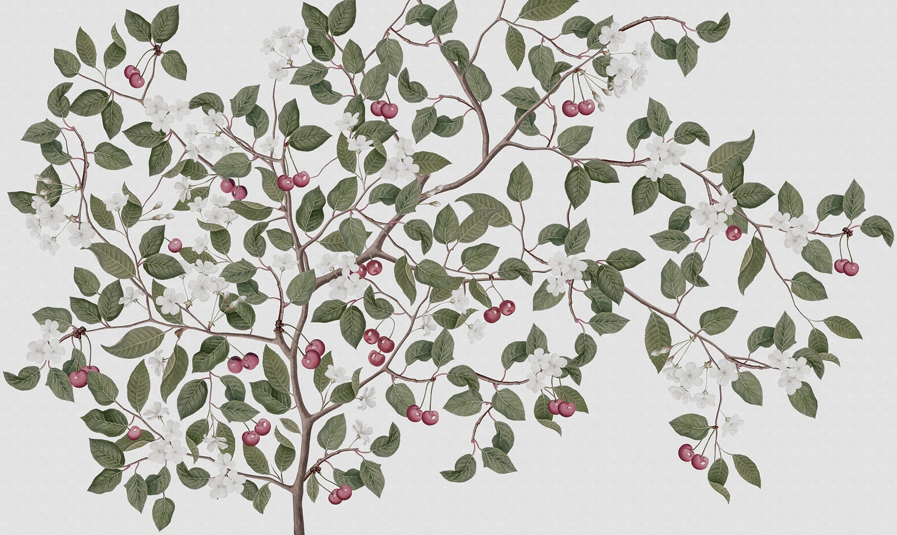 Fototapeta drzewo wiśni Rebel Walls R18668 Cherries White Cottage Core