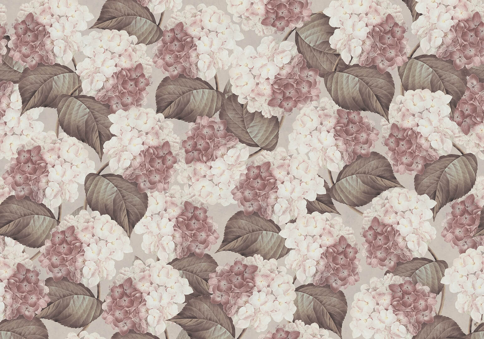 Fototapeta kwiaty hortensji Rebel Walls R18675 Hydrangea Sand Cottage Core