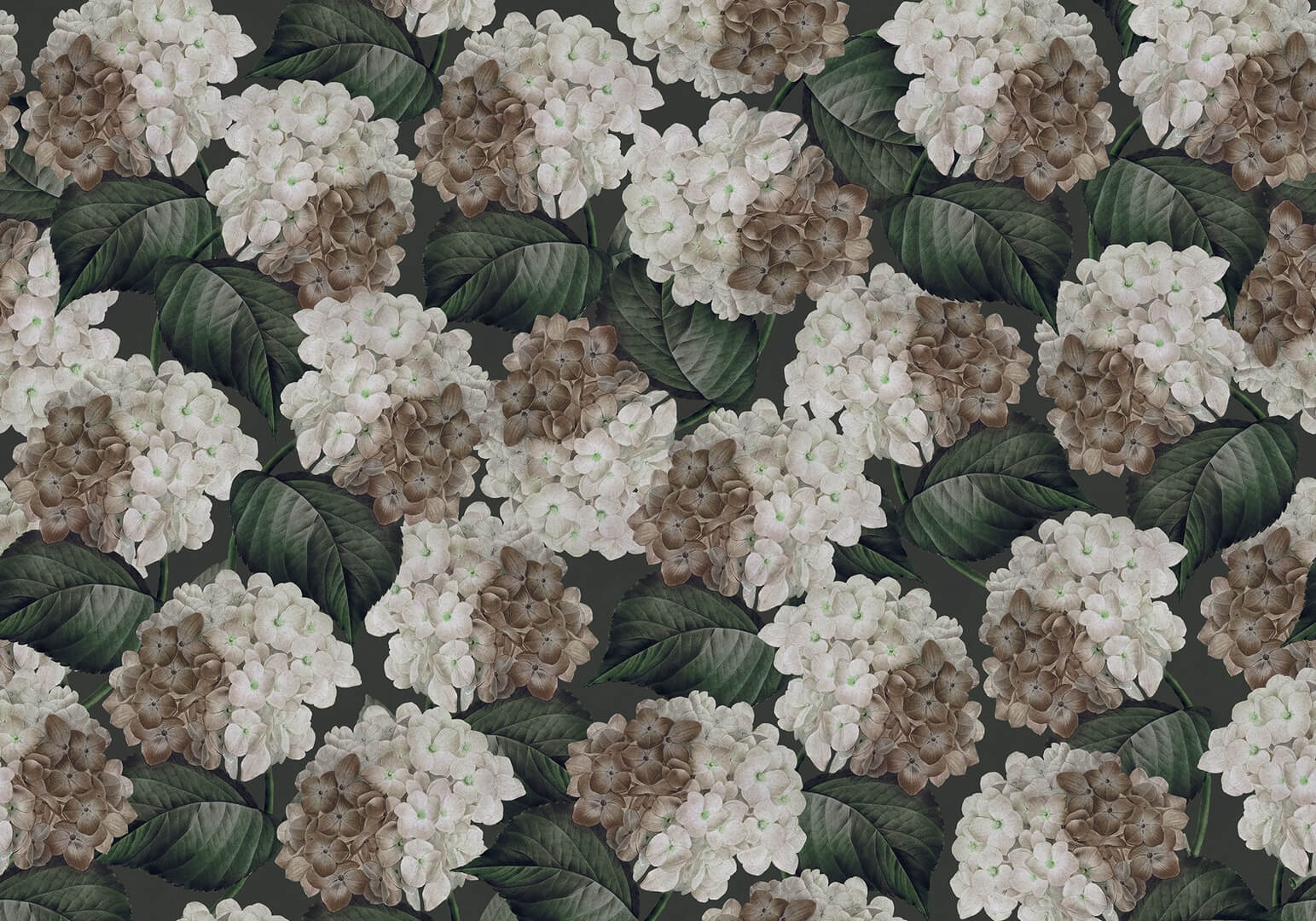 Fototapeta kwiaty hortensji Rebel Walls R18677 Hydrangea Midnight Cottage Core