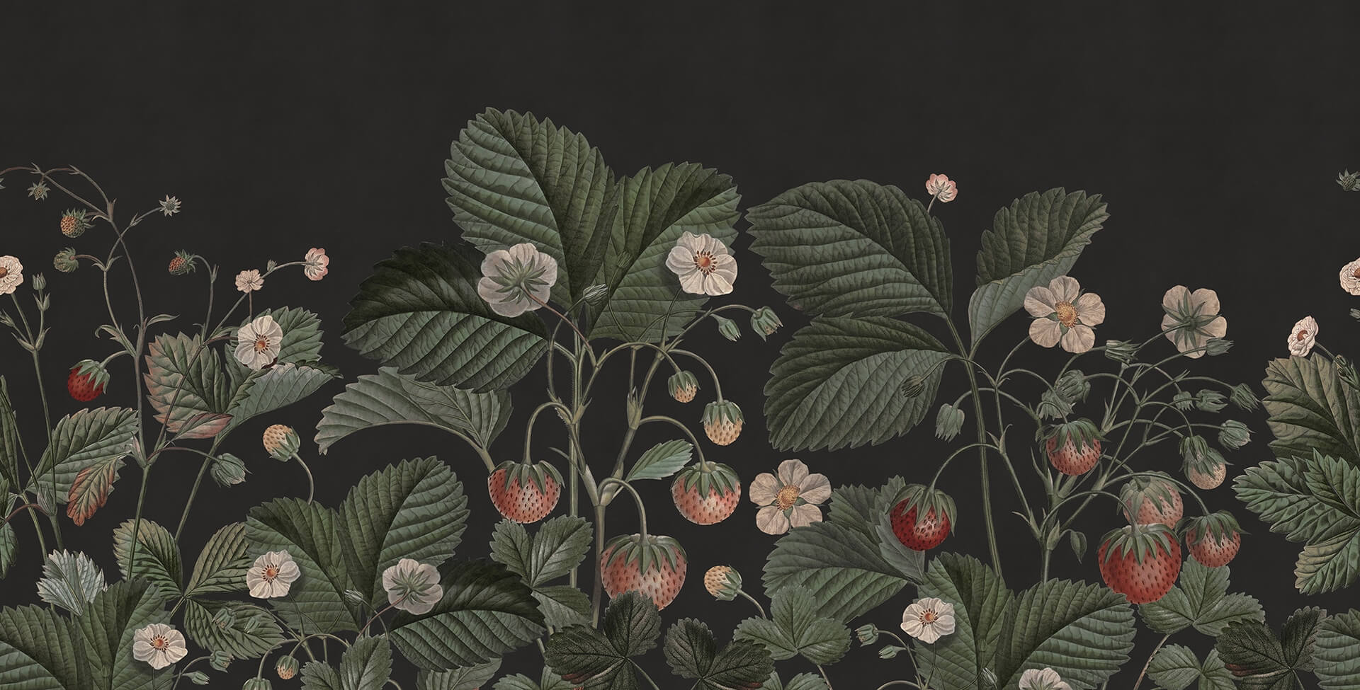 Fototapeta roślinna truskawki i poziomki Rebel Walls R18696 Wild Strawberries Midnight Cottage Core