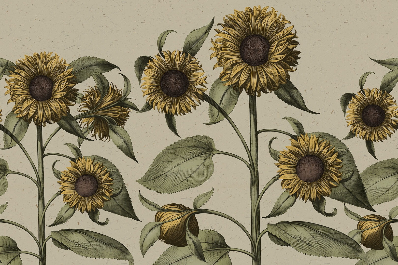 Fototapeta słoneczniki Rebel Walls R18698 Sunflower Yellow Cottage Core