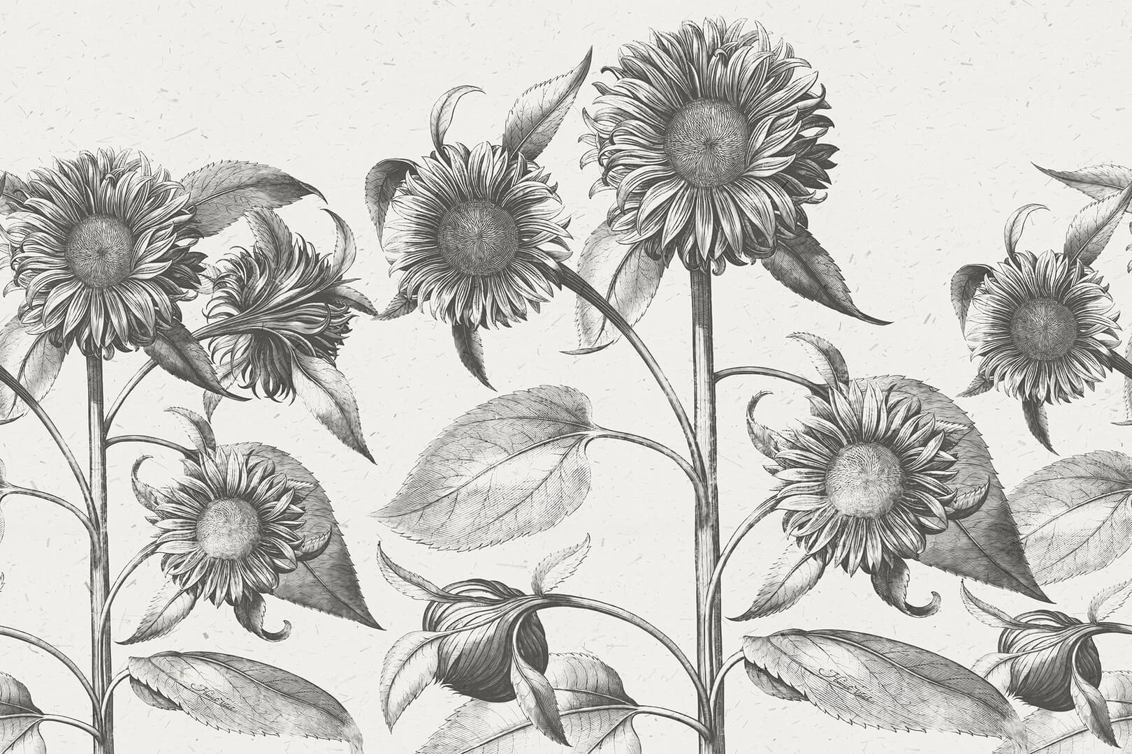 Fototapeta słoneczniki Rebel Walls R18699 Sunflower Beige Cottage Core