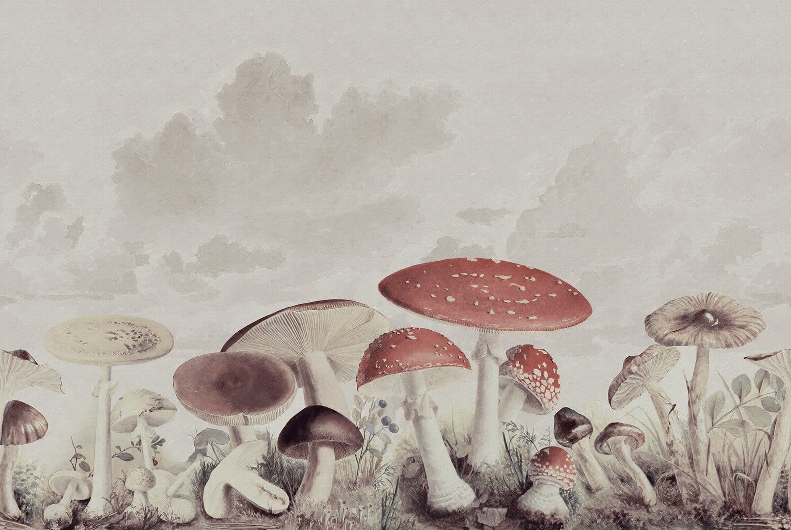 Fototapeta grzyby vintage Rebel Walls R18708 Mushrooms Vintage Cottage Core