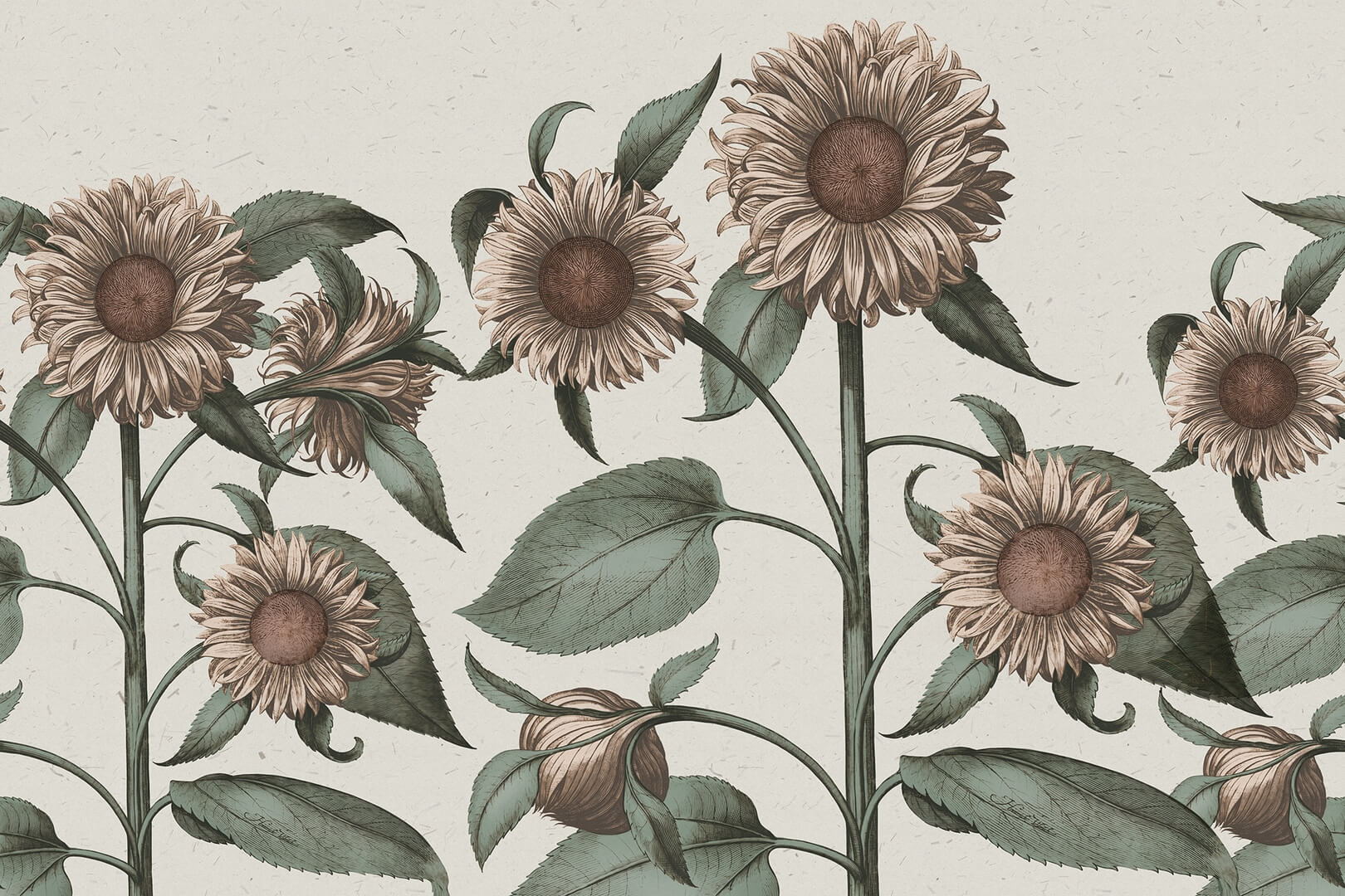 Fototapeta słoneczniki Rebel Walls R18710 Sunflower Peach Cottage Core