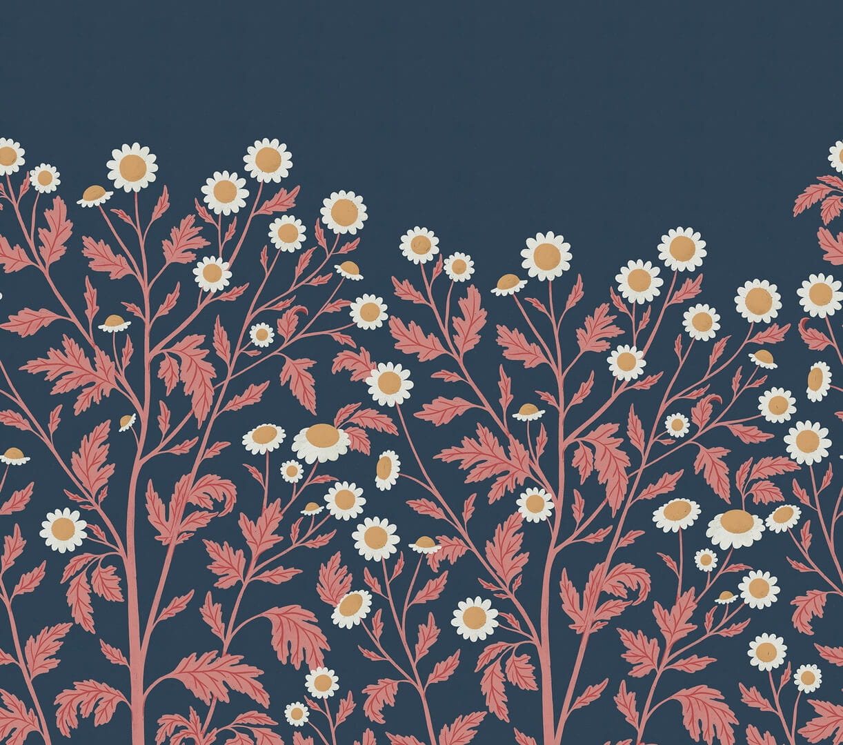 Fototapeta roślinna rumianek Rebel Walls R19585 Chamomile Midnight Cottage Core