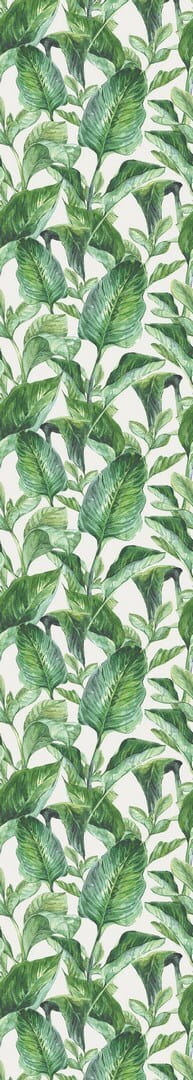 Tapeta Liście Dekornik DEKO.TAP.001