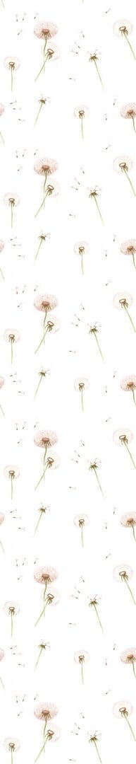 Tapeta dmuchawce  Dandelions Dekornik DEKO.TAP.069