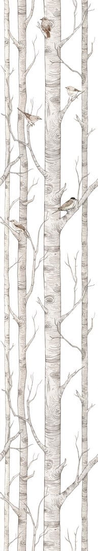 Tapeta drzewa i ptaki Birch Forest Dekornik DEKO.TAP.082